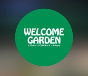 Hospitality Branding & Social Media Growth